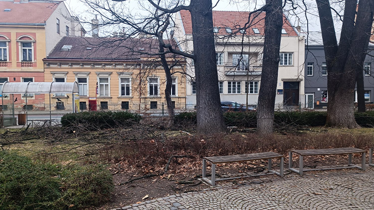 Na Vápenici se řezalo