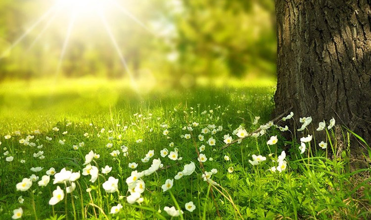 Jen ať počasí přeje