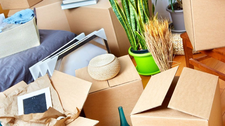 4 tipy na udržitelný jarní úklid, který vám udělá radost