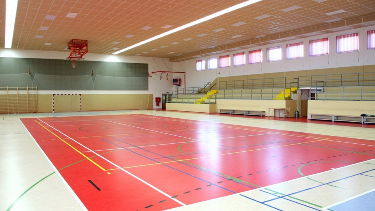 Němčická hala hlásí omezený provoz