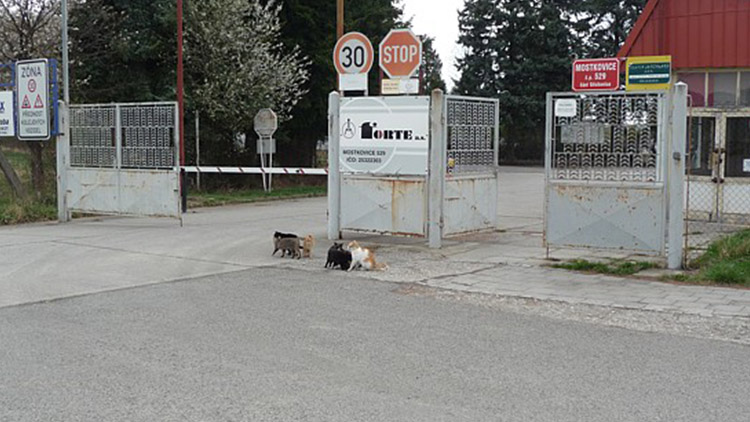 Mostkovice na nohou! U letiště se má likvidovat  odpad z celého regionu