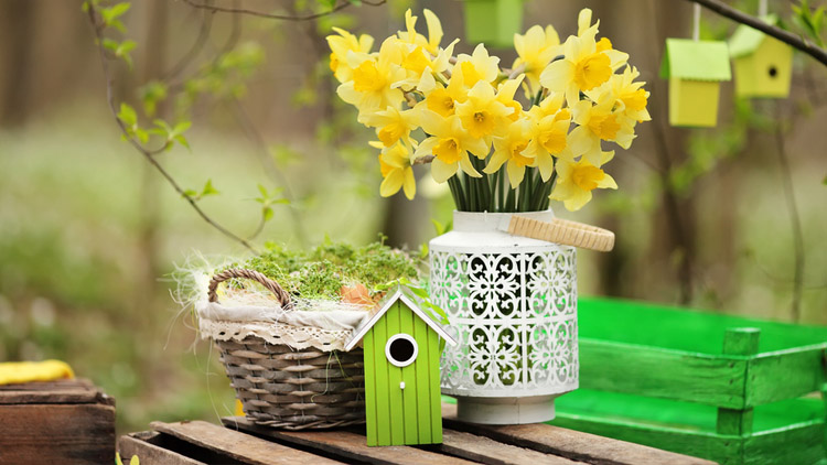 Udělejte si doma jaro
