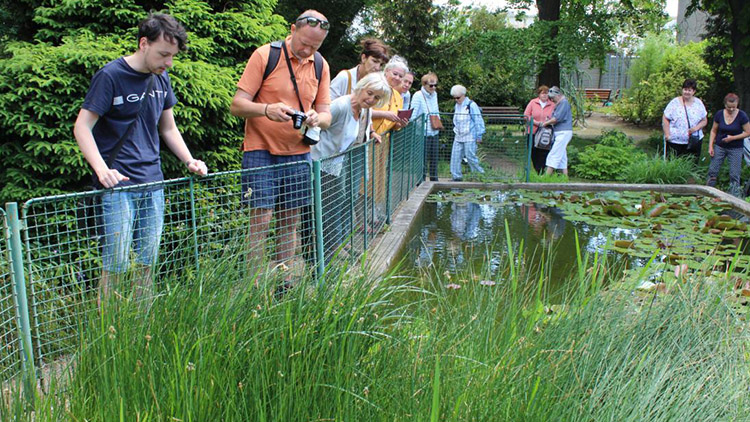 V botanické zahradě najdete rostliny z celého světa