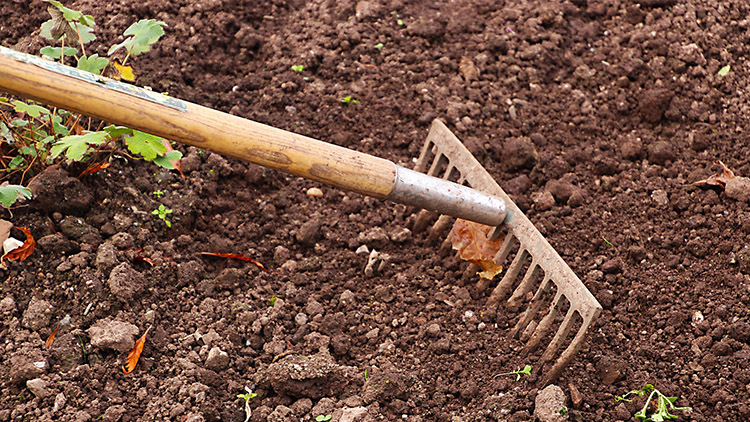 Jaro je klíčovým obdobím