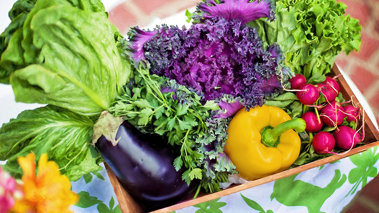 Zbytky nemusí končit v koši