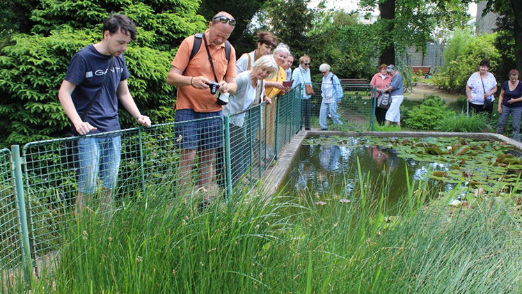 V botanické zahradě najdete rostliny z celého světa