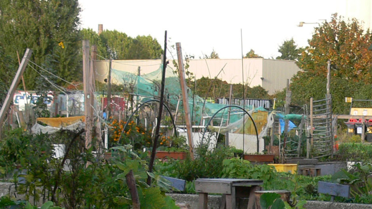 Čas na komunitní zahradu?