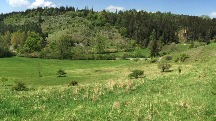 PROSTĚJOVSKO &amp; KAM NA VÝLET