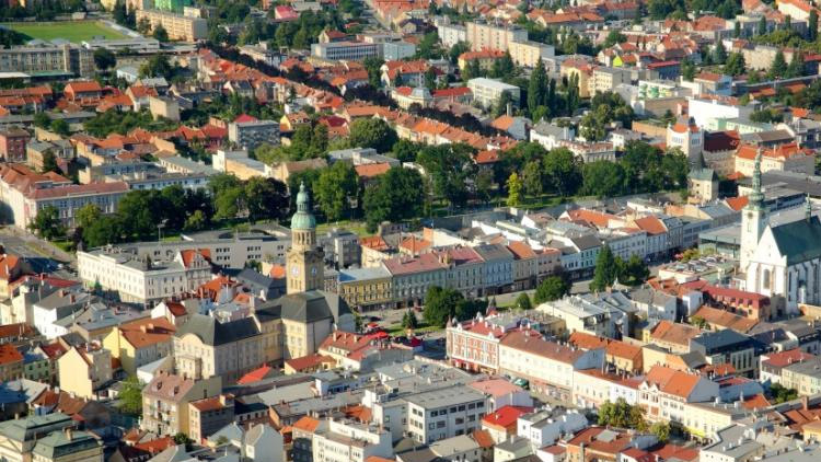 Likvidace plevele v keřových záhonech