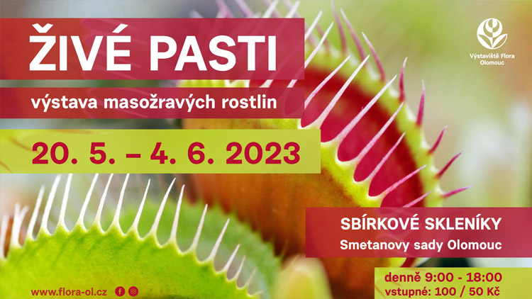 České masožravé rostliny i vzácné „masožravky“ ze Stolových hor. Tento týden začíná prodejní výstava Živé pasti