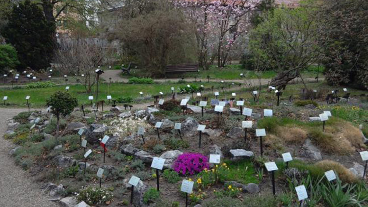 Prostějov se připojí k Víkendu otevřených zahrad