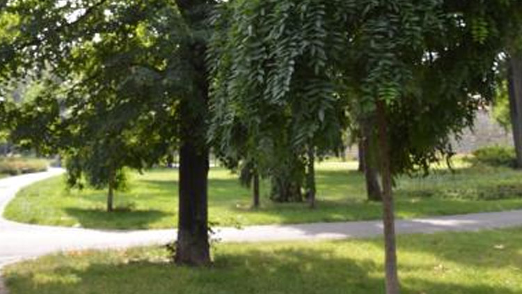 Chemické ošetření trávníků v centru města