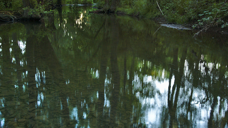 Osm černých skládek u Romže