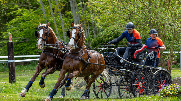 Oblastní mistr ve spřežení je z Pivína