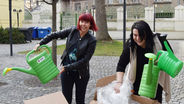 Velká hřbitovní loupež: Darebáci odnesli konve!