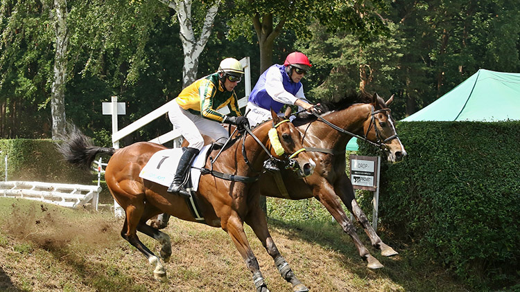 IMPHAL trenéra Popelky  se kvalifikoval na  Velkou pardubickou