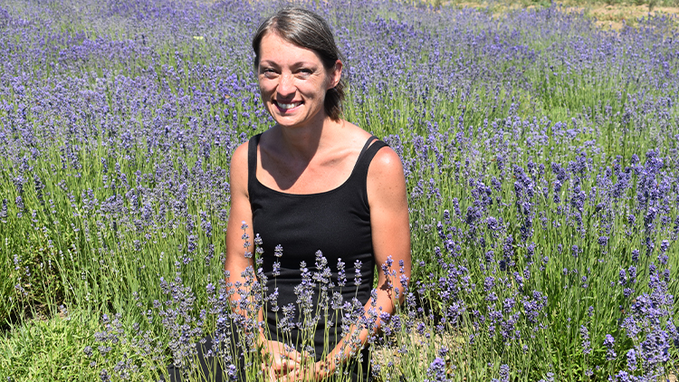 Samosběr levandule na statku v Otinovsi lákal