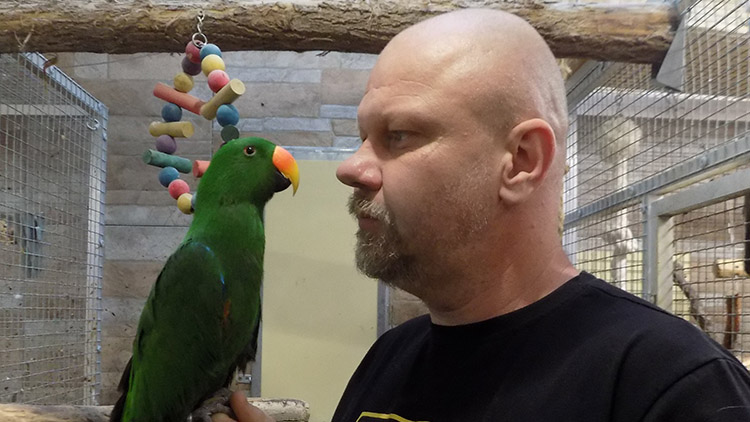 Zdeněk Vystavěl : „Volnému létání musíte papouška naučit!“