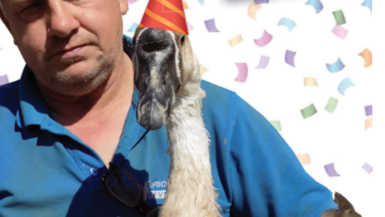 HUSÍ REKORDMANKA  oslaví 22. narozeniny!