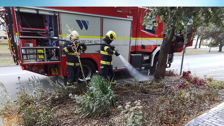 Na Kostelecké hořel záhon