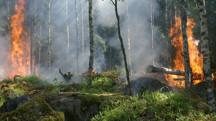 Hejtman Josef Suchánek vyhlásil období zvýšeného nebezpečí vzniku požárů