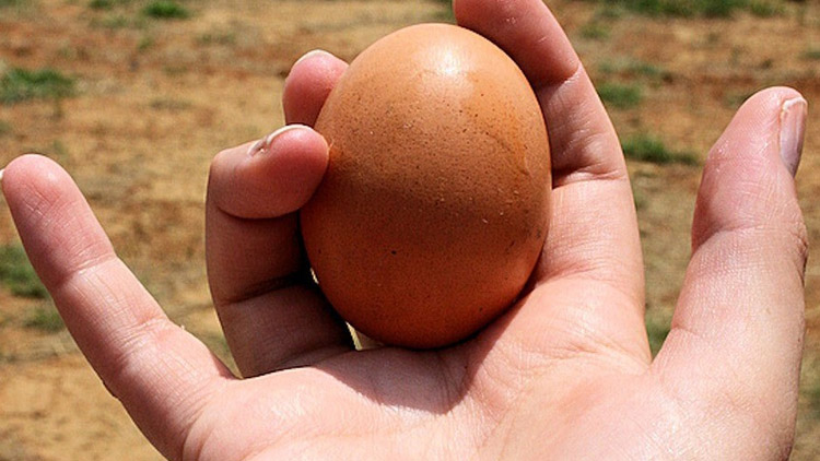 Jezdí autem a metá vajíčka?