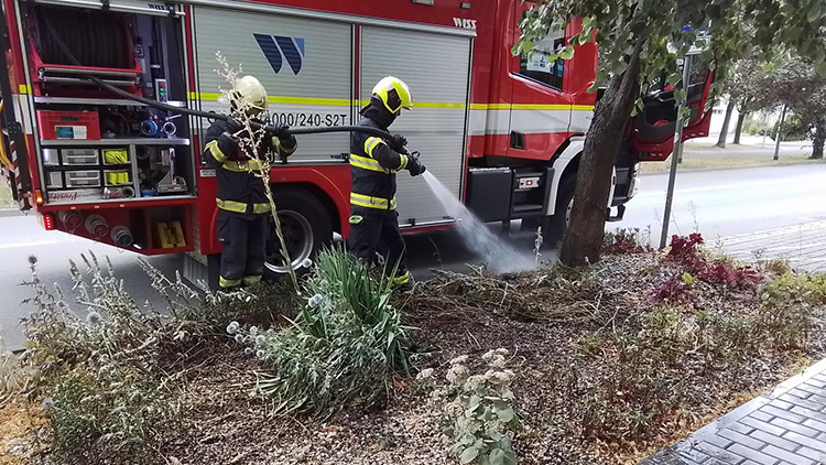 V Kostelecké vzplál záhon