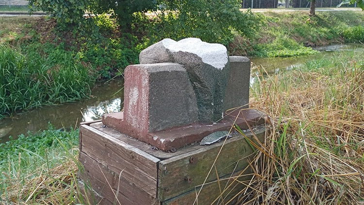 Strážce arboreta je vejpůl!