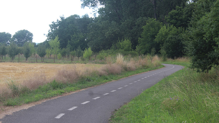 Dívku znásilnil na cyklostezce!