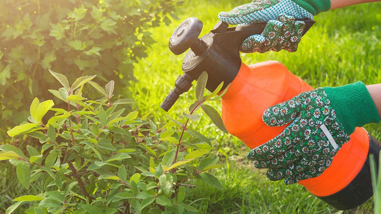 Upozornění na hubení plevele