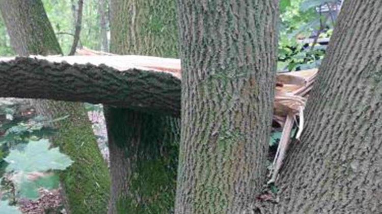 Jasan zničila bouřka