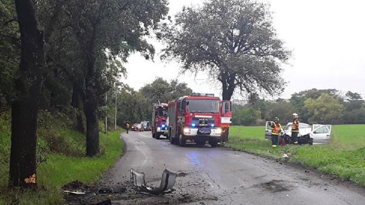 Golf napálil do stromu  a skončil v poli