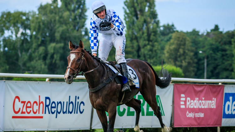 Nejvíce koní ve Velké pardubické bude mít trenér Popelka