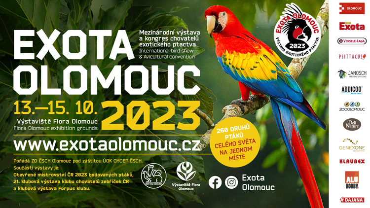 Velký návrat výstavy Exota Olomouc. Mezinárodní přehlídka exotického ptactva se uskuteční v polovině října