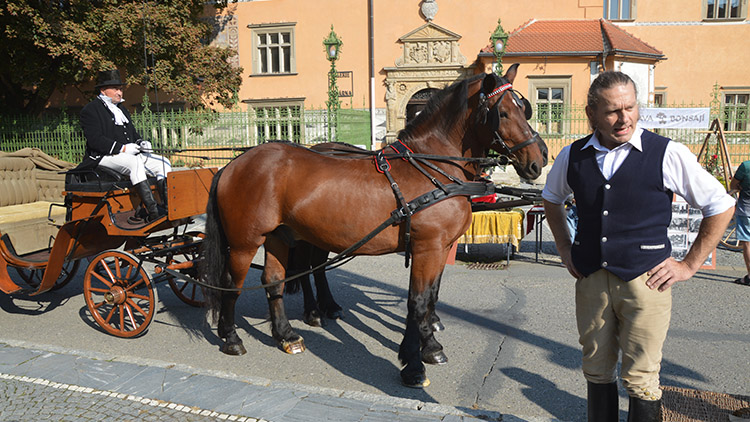 Obrovy kočáry  dělaly radost