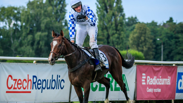 Na start Velké pardubické se postaví tři valaši z hvozdeckého srdéčka