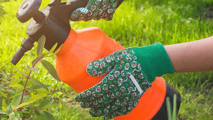 Hubení plevele ve 40. týdnu roku 2023