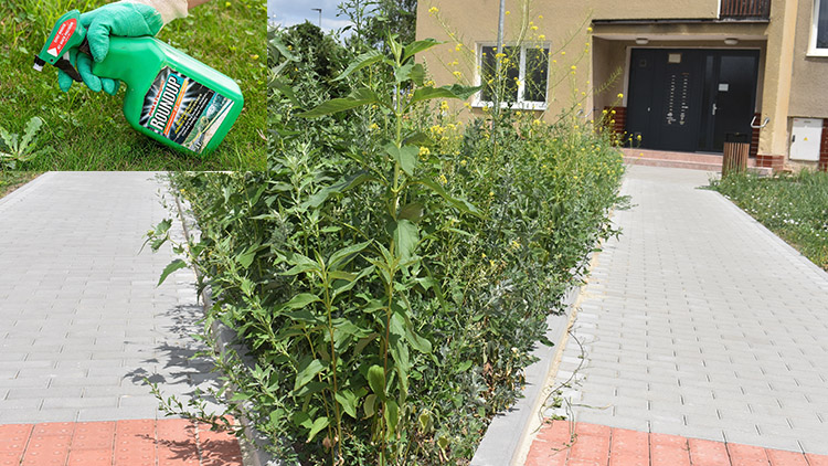 Nedá se nic dělat, do akce jde chemie