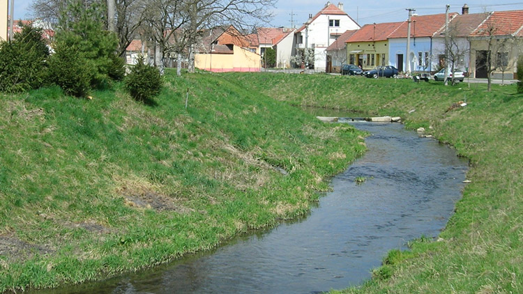 Bagry se zakously do Hloučely