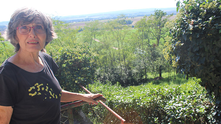 Arboretum na Kosíři zná své obrysy,  majitelé zde zatím pěstují i fíky