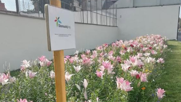 Lilie v Žešově a Vrahovicích zaplatila z poloviny dotace