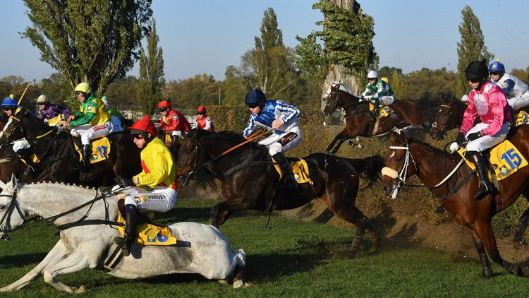   Proč lidé kritizující Taxis nemyslí na nebohého pašíka?  