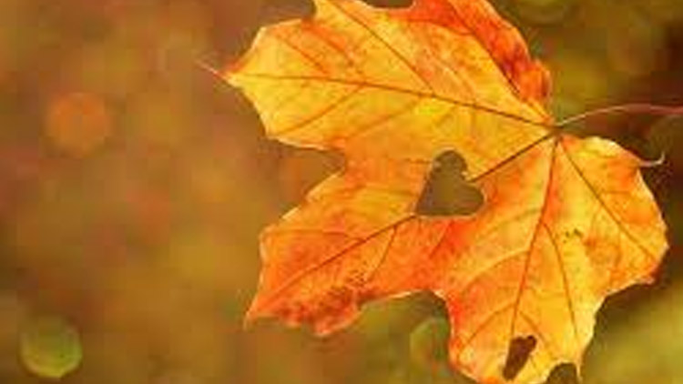 Podzim nemusí být nutně o depresi