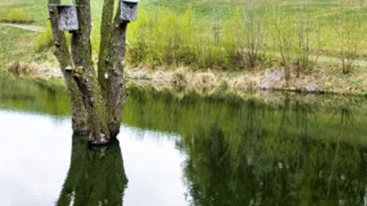 Chtějí opravit nádrž