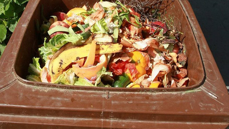 Radnice radí, aby si lidé popelnice pořídili sami!