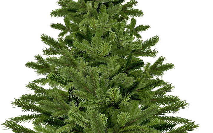 Jaký je původ vánočního stromečku?