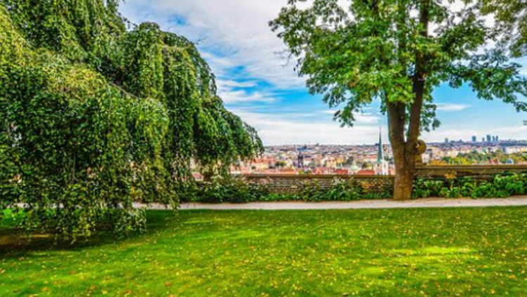 Na kolik přijde zeleň?