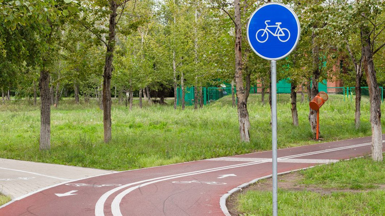 Na cyklostezce ji srazilo auto