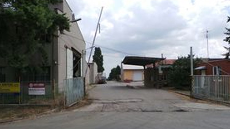 Místo jablek dřevo