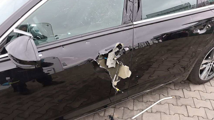 Vandal audinu téměř rozpáral